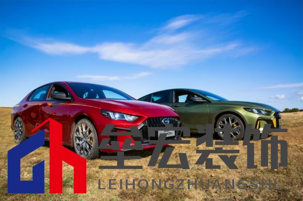 蘇神的夏日出游首選，中國(guó)影豹一路相伴