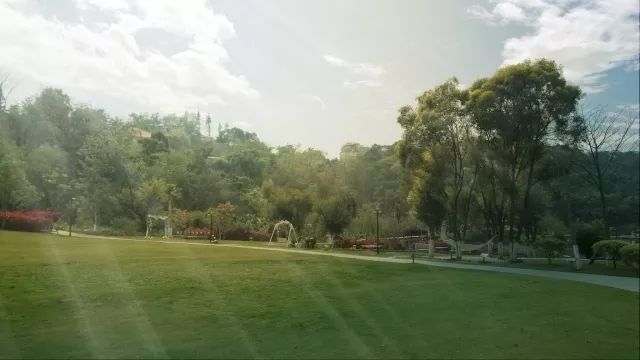 廈門(mén)婚禮布置培訓(xùn)_廈門(mén)婚禮布置兼職一天多少錢(qián)_廈門(mén)婚禮布置