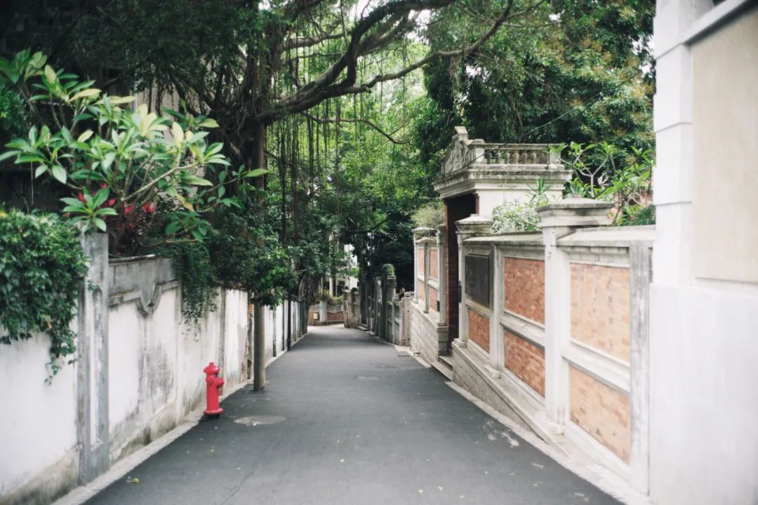 廈門龍頭裝修_福州龍頭裝修_廈門十大裝修