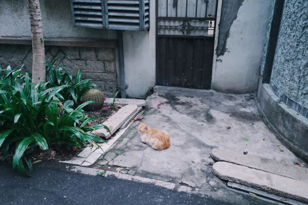 廈門龍頭裝修_福州龍頭裝修_廈門十大裝修