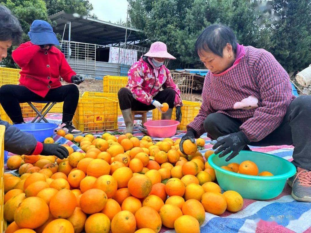 廈門(mén)家裝_十強(qiáng)家居裝修公司廈門(mén)_廈門(mén)家裝公司排名